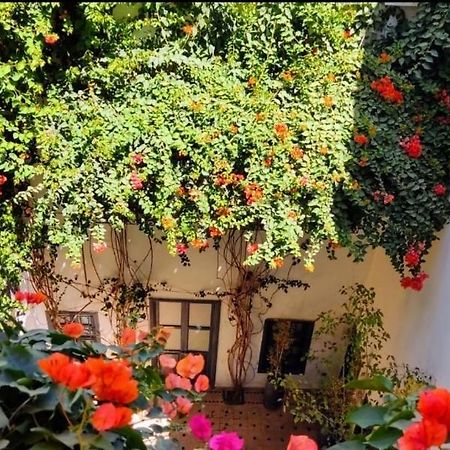 Bougainvillea Riad 马拉喀什 外观 照片