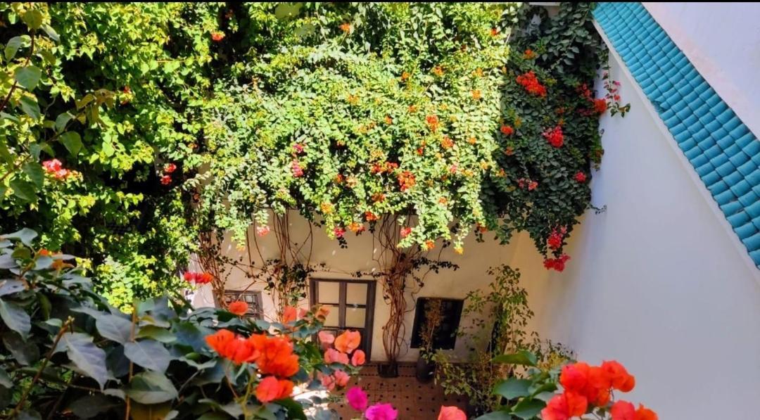 Bougainvillea Riad 马拉喀什 外观 照片