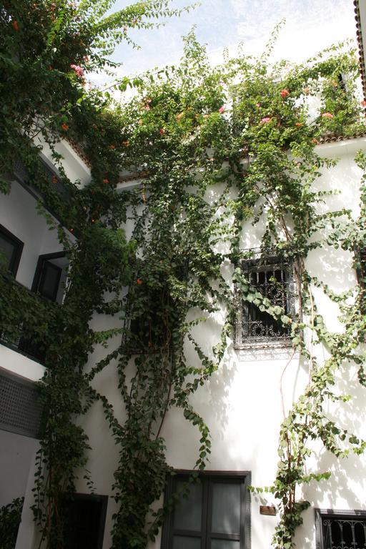Bougainvillea Riad 马拉喀什 外观 照片