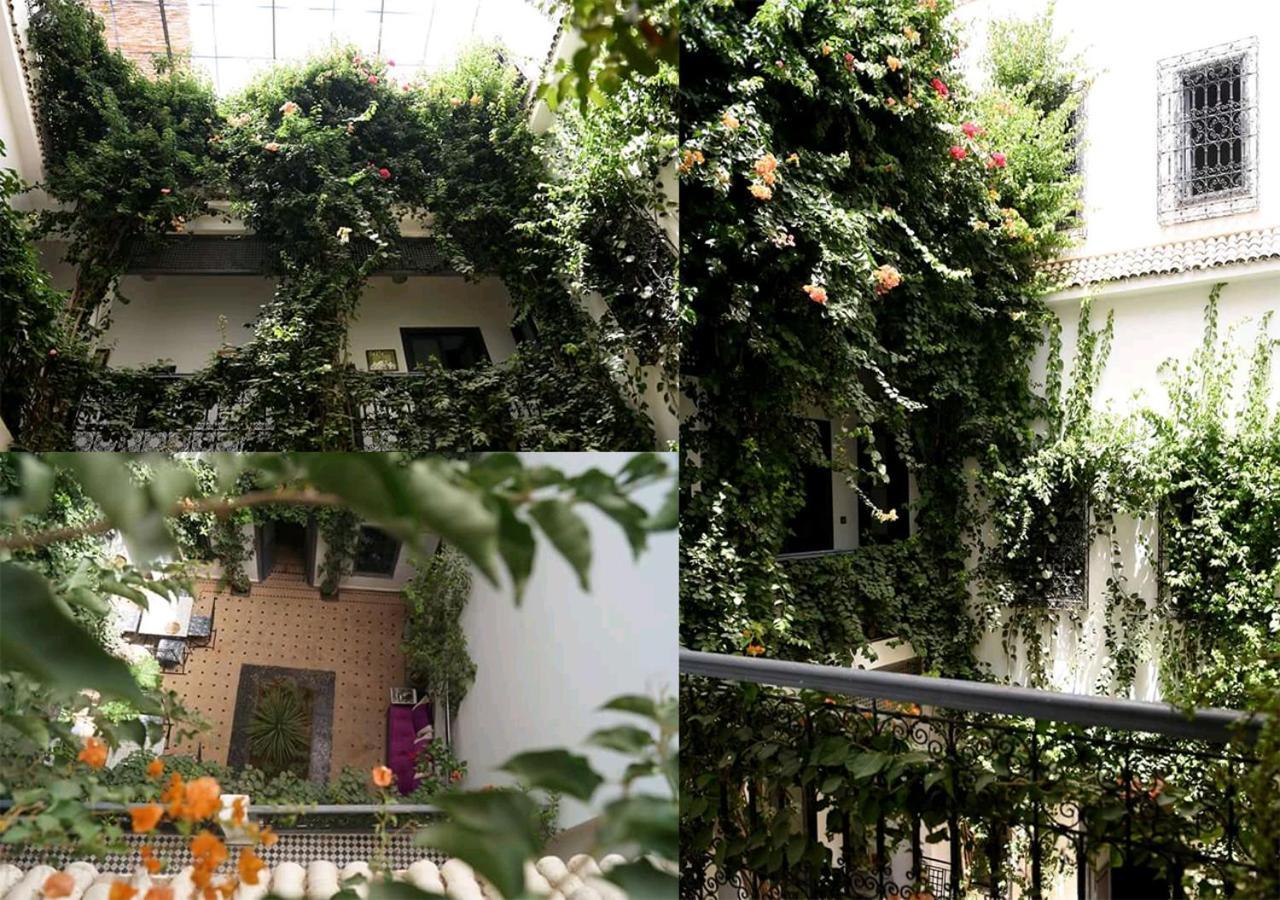 Bougainvillea Riad 马拉喀什 外观 照片