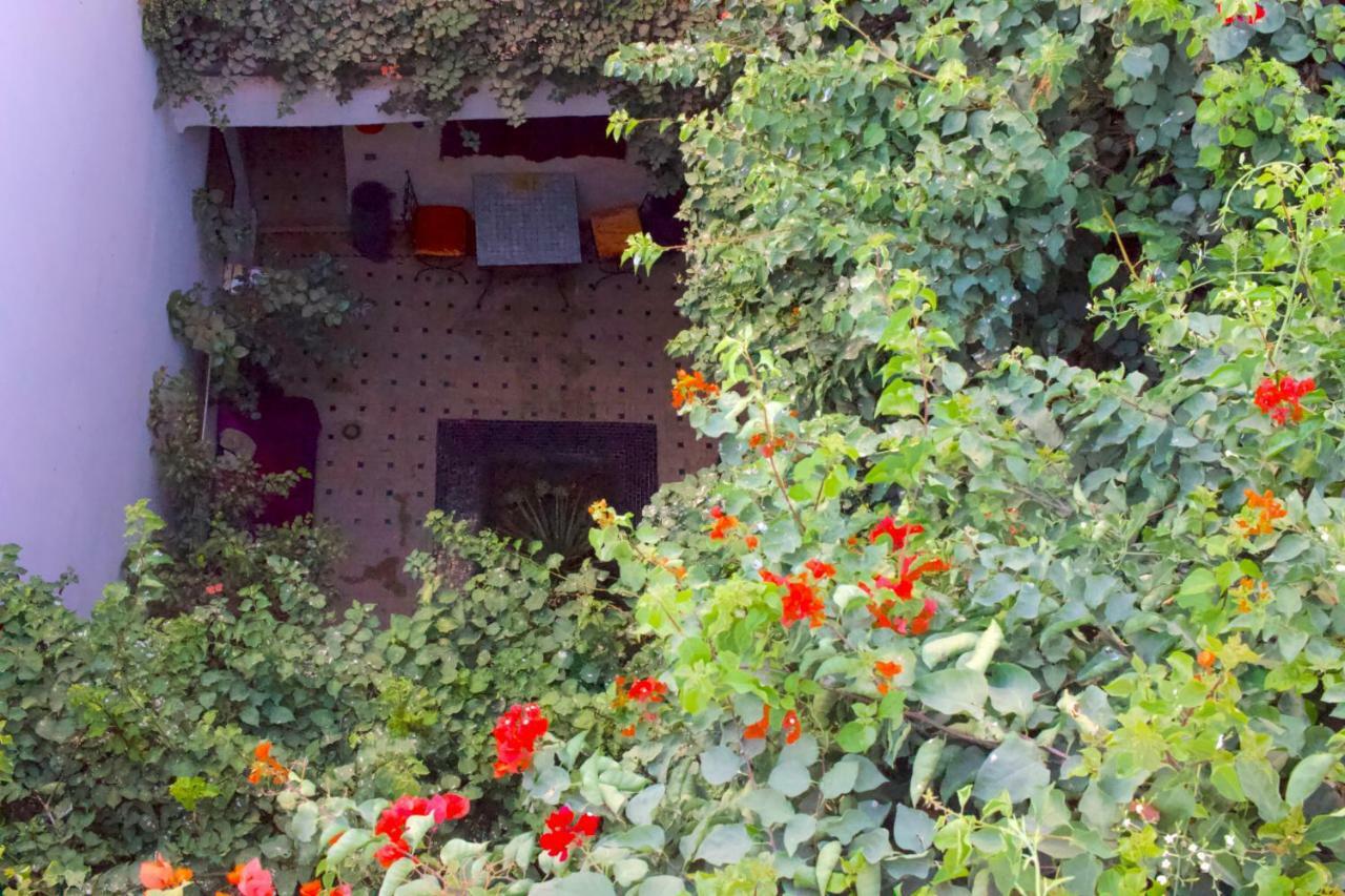 Bougainvillea Riad 马拉喀什 外观 照片